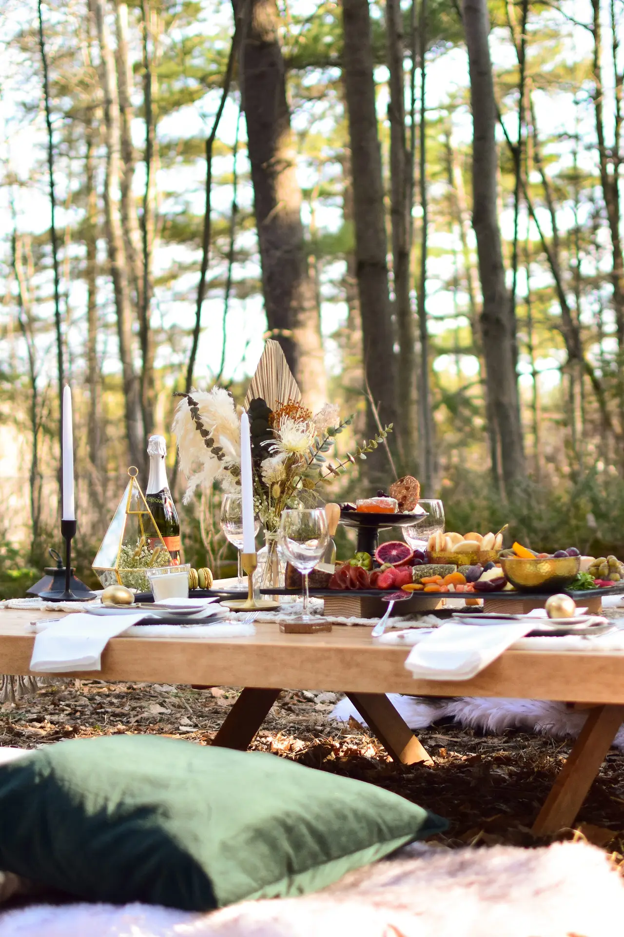 picnic, group, forest